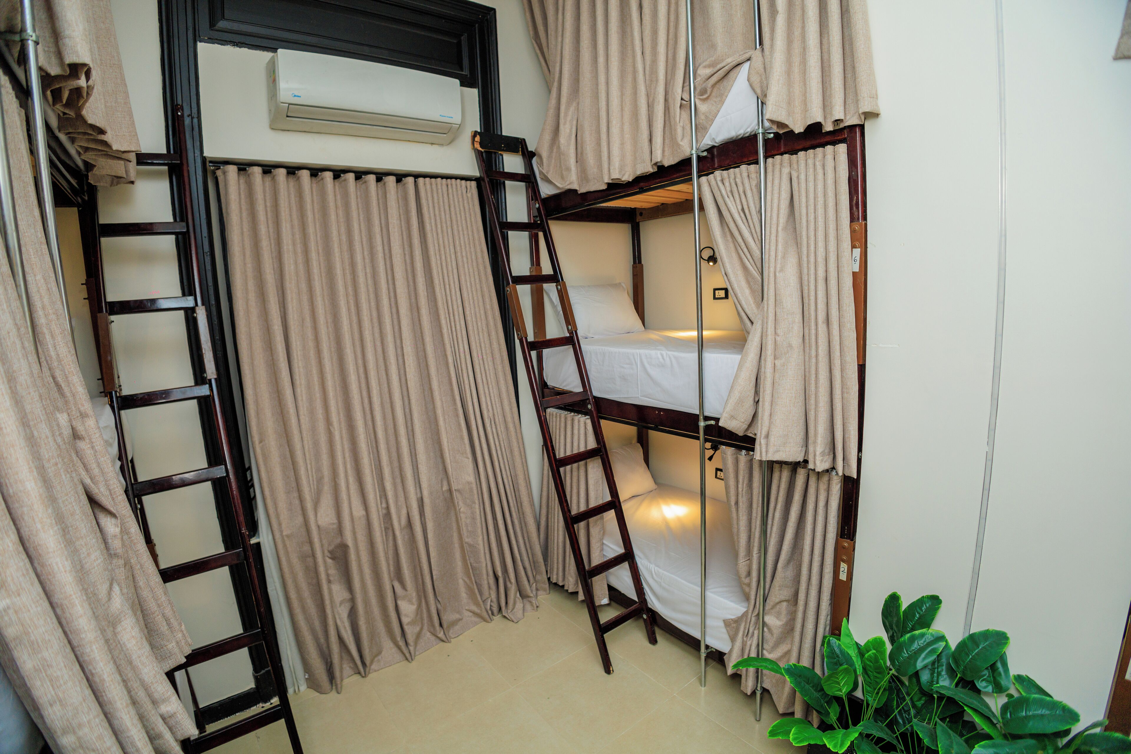A bunk bed room with a ladder, curtains, and a potted plant.