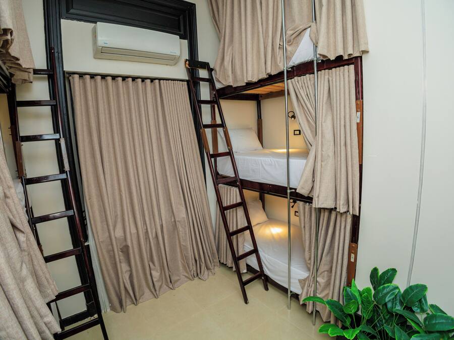 A bunk bed room with a ladder, curtains, and a potted plant.