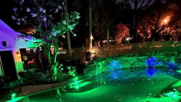 Une piscine éclairée de lumières vertes, entourée d’arbres et bordée d’un bâtiment doté d’une terrasse.