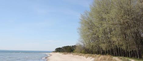 Plage