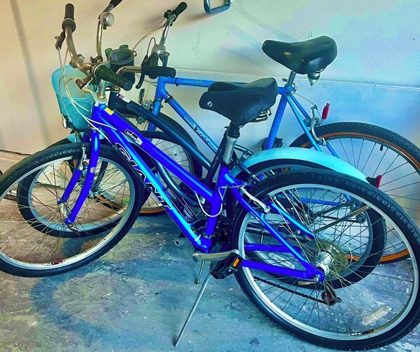 A blue bicycle with a black seat and front basket, parked indoors. - SeaShell Suite on waterfront property with FREE kayaks, bikes and fishing poles (North Port)