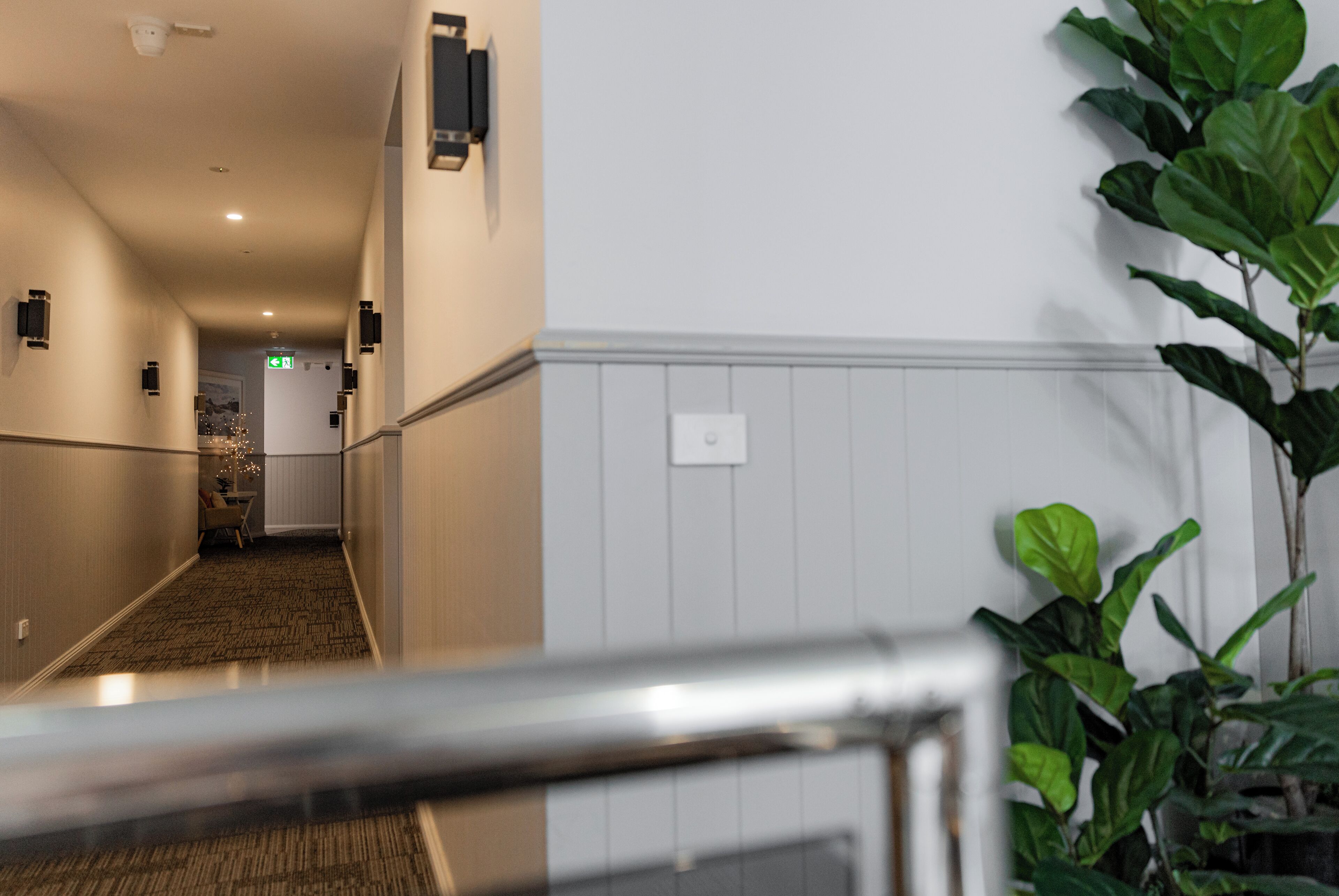 A hotel hallway with a carpeted floor, a plant on the right, and a door at the end.