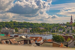 Unclassified image, 4 of 27, button