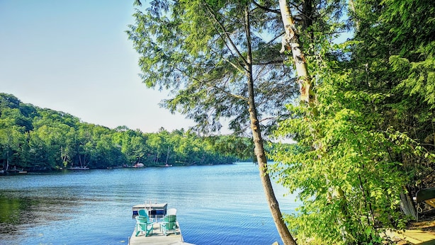 A dock extending into a calm lake surrounded by dense green forest. - 3 BR Harp Hygge House. Only 8min to Hidden Valley! (Huntsville)