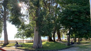 A park with trees, a gravel path, and a bench.