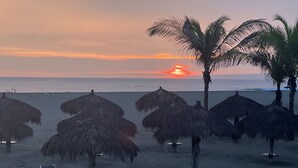 Une plage avec des parasols en chaume et des chaises longues, un palmier et l’océan en arrière-plan.