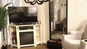 电视、壁炉、DVD 播放器