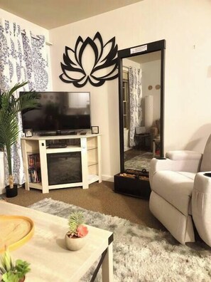 Televisión, chimenea, reproductor de DVD y libros 