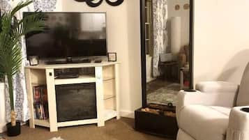Televisión, chimenea, reproductor de DVD y libros