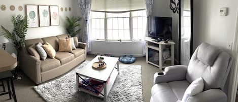 Télévision, cheminée, lecteur de DVD, livres