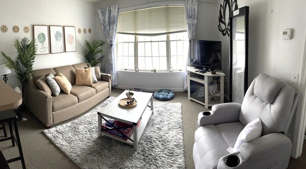 Televisio, takka, DVD-soitin, kirjoja