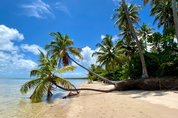 Beach nearby, white sand, free beach cabanas, sun loungers