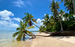 Una playa cerca, arena blanca, camas de playa gratis