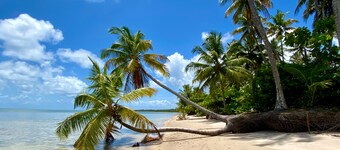 POUSADA MANGUEIRA Boutique Hotel