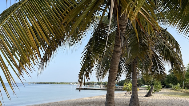 A beach with palm trees and a calm sea. - Perfect Location, Inside Poblado Boqueron (Boquerón)