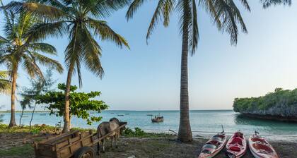 Secluded Beach House
