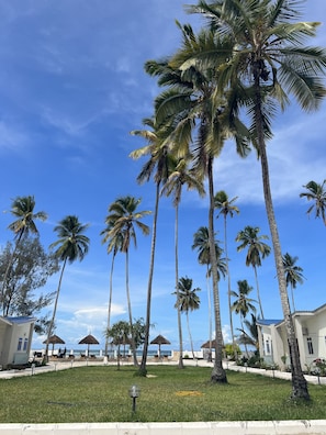 Front of property - Kiwengwa Minazi Resort (Kiwengwa)