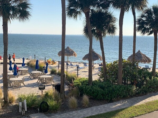 A beachside patio with tables and chairs, palm trees, and a view of the ocean.