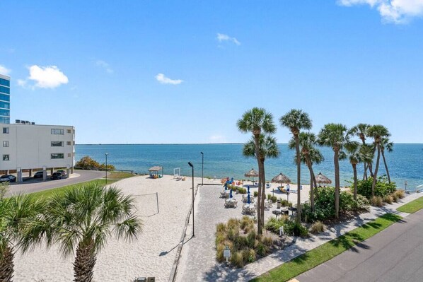 Una playa con palmeras, una piscina y un edificio al fondo.