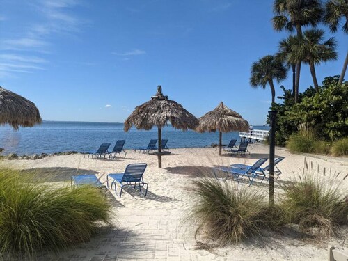 Forever Beach View, Sailport Resort Condos Tampa!