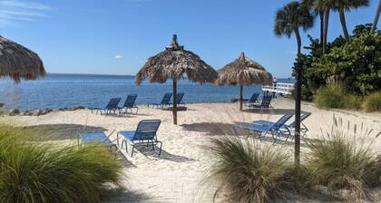 Forever Beach View, Sailport Resort Condos Tampa!