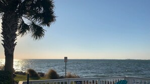 A deck with chairs overlooking the ocean, a palm tree, and a sign.