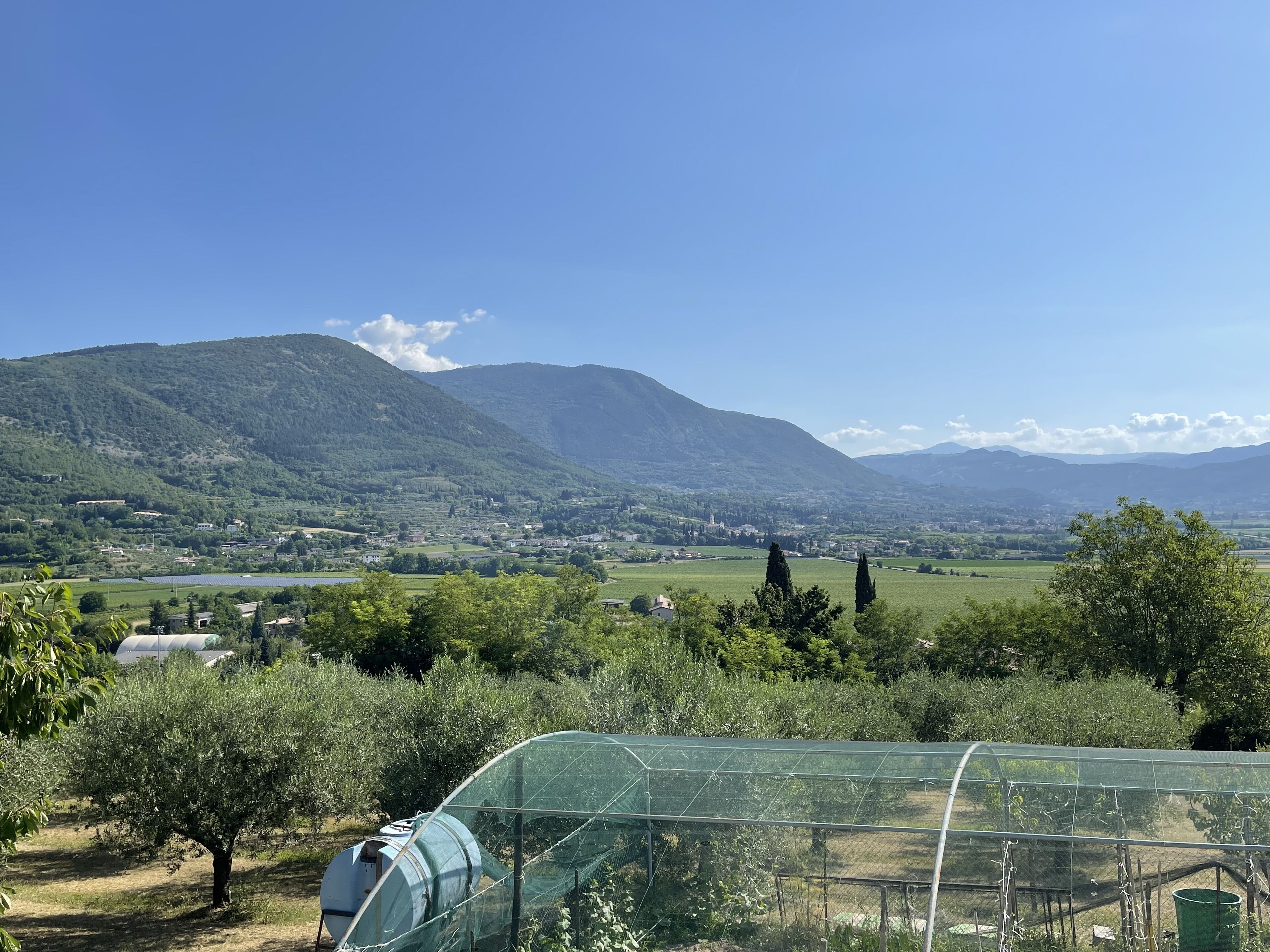 Áreas de la propiedad