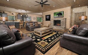 Televisión, chimenea, consola de videojuegos y reproductor de DVD 