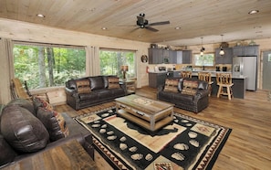TV, fireplace, video-game console, DVD player