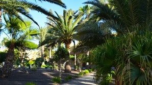 A pathway lined with palm trees and small plants, leading to a building with a red roof. - Casa Bella by Best Holidays Fuerteventura (Corralejo)