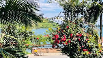 Vista desde la propiedad