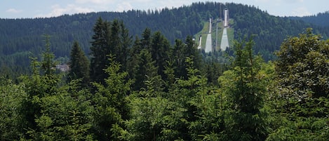 A forested mountain area with a large, modern structure featuring multiple vertical elements.