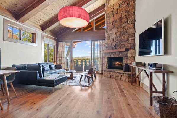 Smart TV, fireplace, books