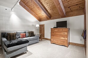 Smart TV, fireplace, books