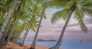 Uma praia com palmeiras e mar calmo.