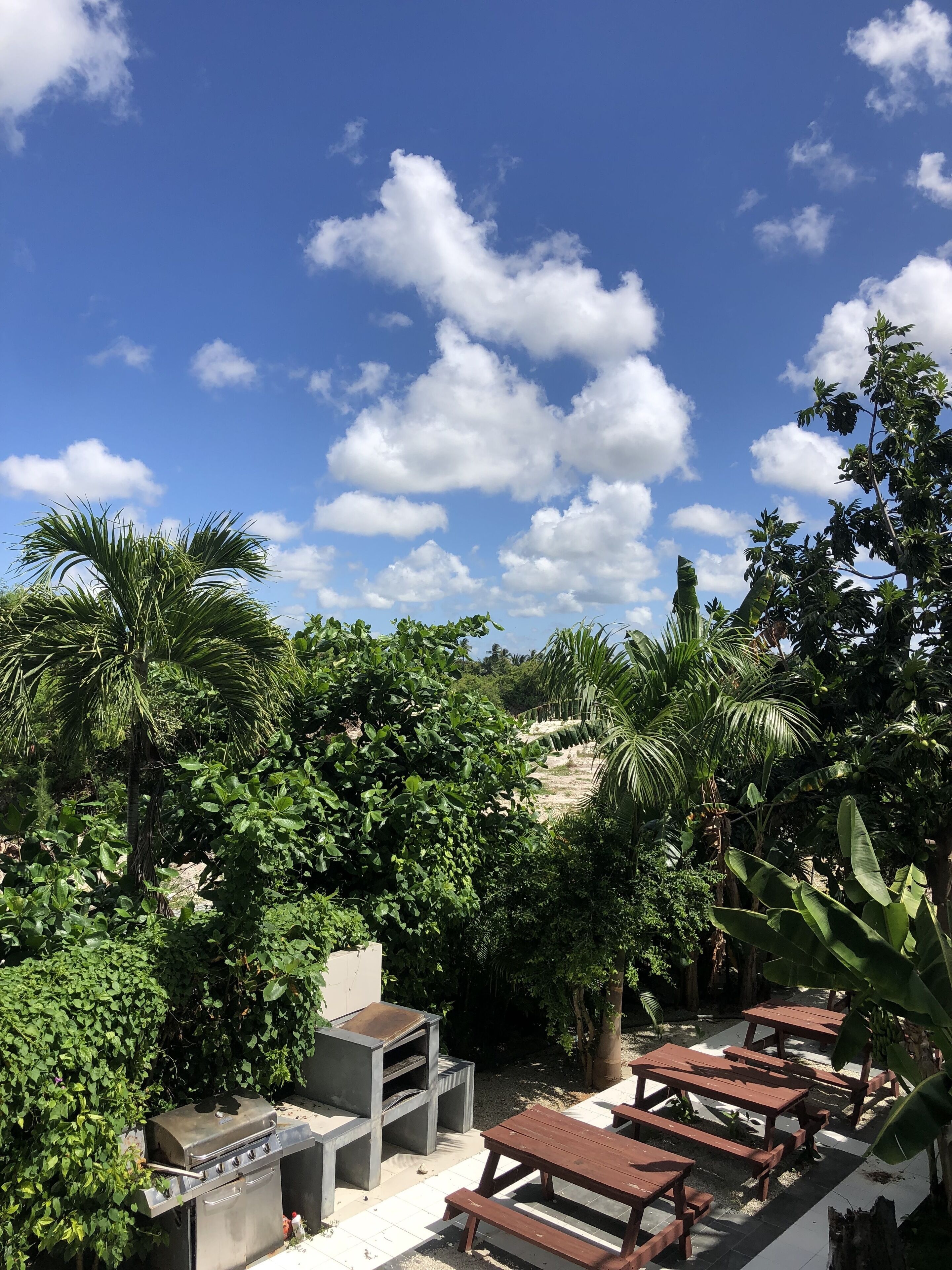 Foto - ROOFTOP POOL Ducassi Tropicana STUDIO SUITES Deluxe HOTEL Beach Club & SPA