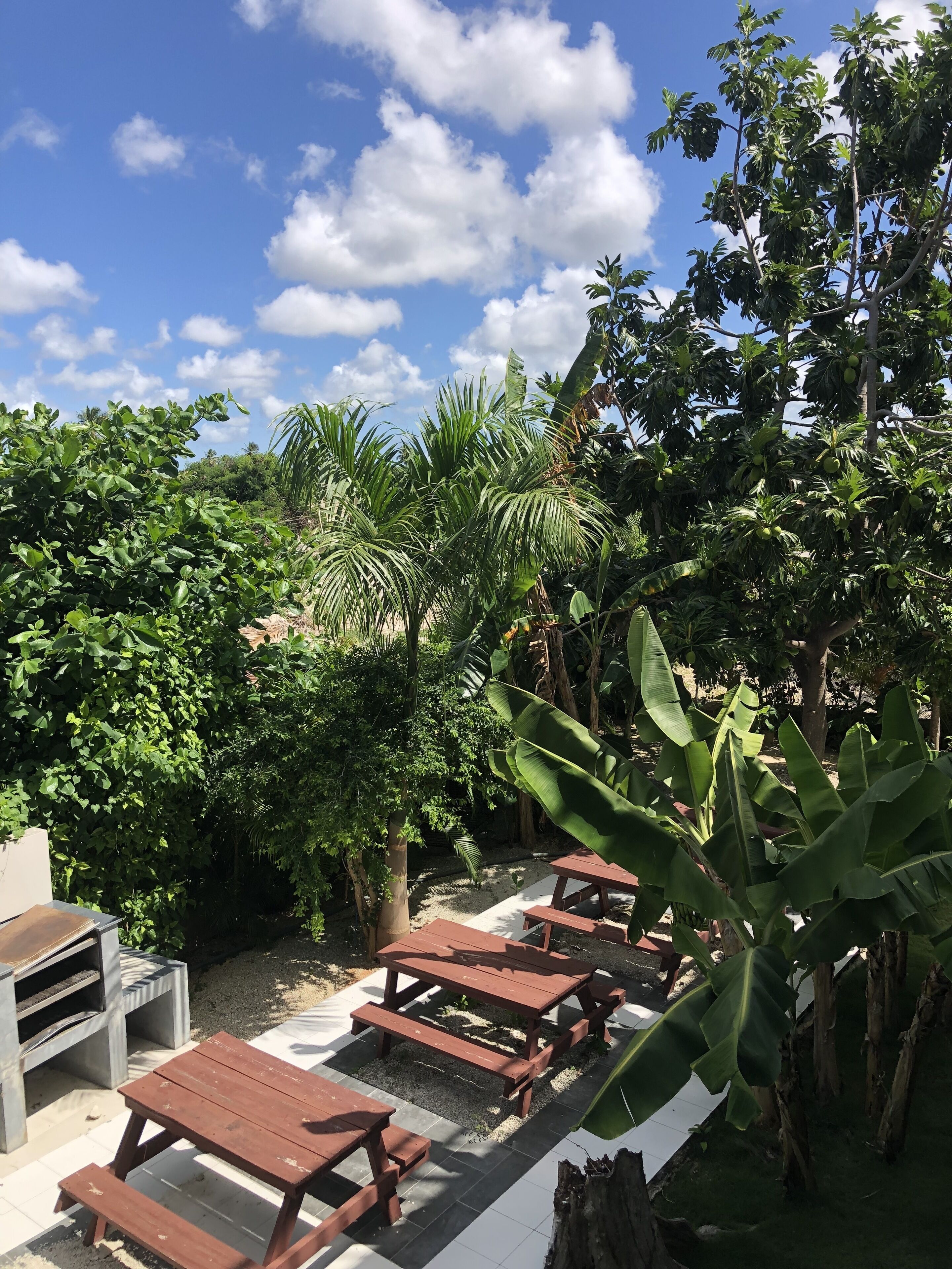 Foto - ROOFTOP POOL Ducassi Tropicana STUDIO SUITES Deluxe HOTEL Beach Club & SPA