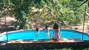 A swimming pool with a stone border, surrounded by grass and trees.