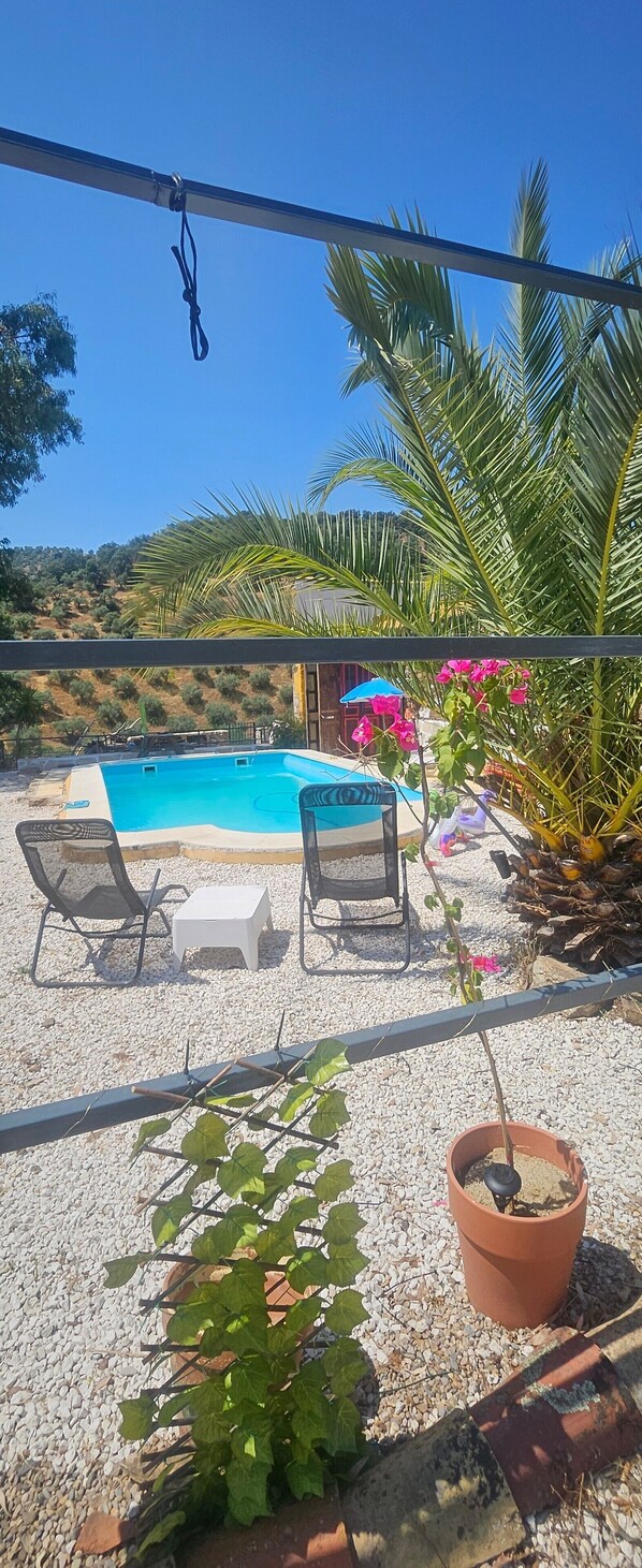 A pool with two lounge chairs, a potted plant, and a view of a hilly landscape.