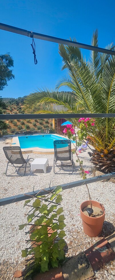 Country House 'Experience Alpacas in Andalucia' with Mountain View