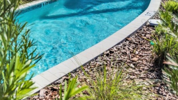 Une piscine aux bords incurvés, avec une eau d’un bleu limpide, entourée de palmiers et traversée par un pont en bois.