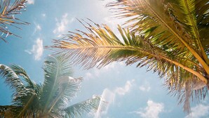未分類圖片，第 2 張 (共 18 張)，按鈕