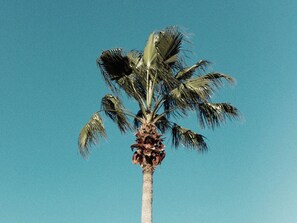 Villa (Multiple Bedrooms) | Property amenity - Luxury Mansion on Windsor Island Resort, Orlando Mansion 5658 (Kissimmee)