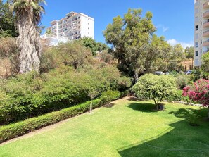 Imagem sem classificação, 4 de 35, botão