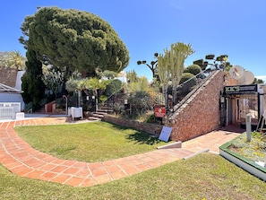 Un jardín ajardinado con muro de piedra, un camino empedrado y diversos árboles, incluyendo un conífero grande y un cactus.