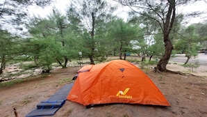 A tent set up in a forested area with trees and a dirt path. - Goa Cemara Camping Ground (Parangtritis)