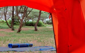 Room - Goa Cemara Camping Ground (Parangtritis)