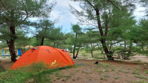 A tent set up in a forested area with trees and a dirt ground. - Goa Cemara Camping Ground (Parangtritis)