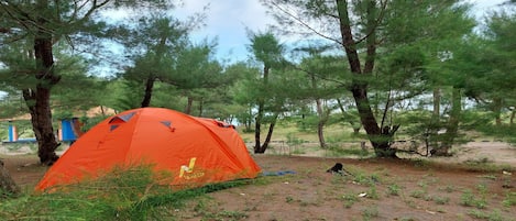 Tenda Deluks | Teras/patio