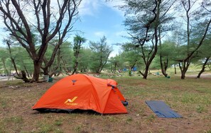 Front of property - Goa Cemara Camping Ground (Parangtritis)